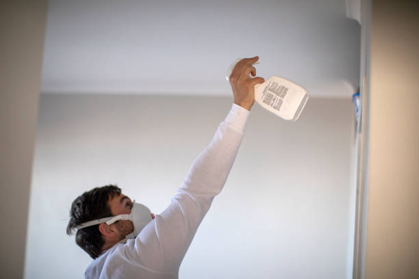Best Emergency Mold Remediation in Royse City, TX