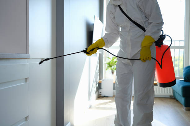 Best Bathroom Mold Remediation in Royse City, TX